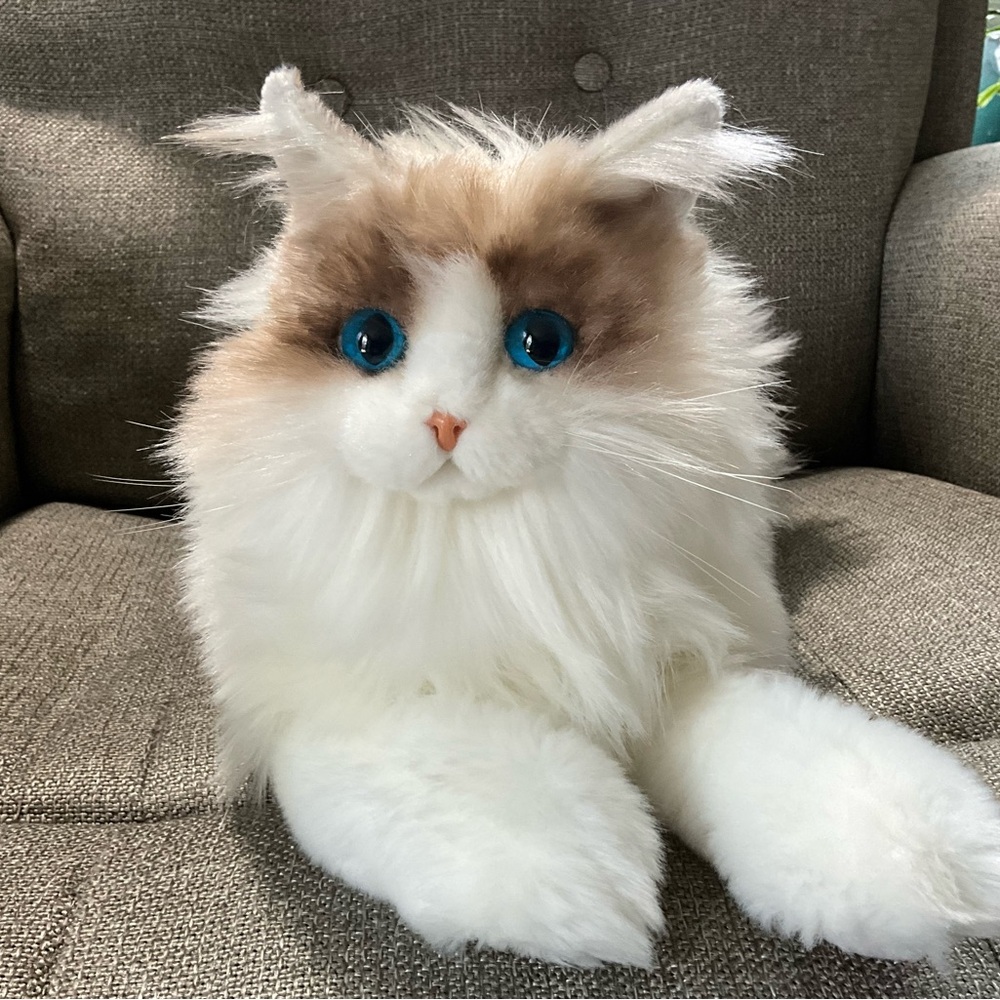 Therapy Pet. For Elderly who are confused or lonely. Plush Cat. Weight 4 pounds